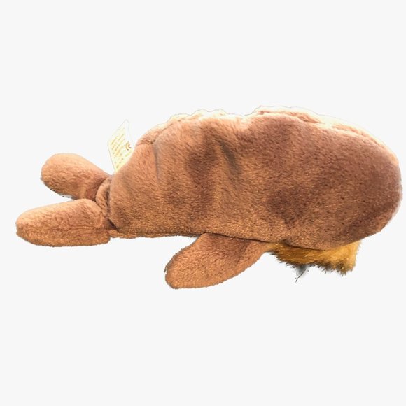 Brown Walrus Ty Beanie Baby Collection Jolly Walrus 7 inches Born Dec 2,1996 RET - Picture 4 of 7
